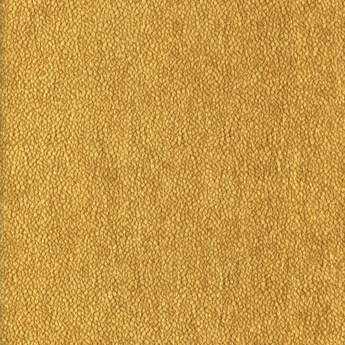 Chroma 92161789