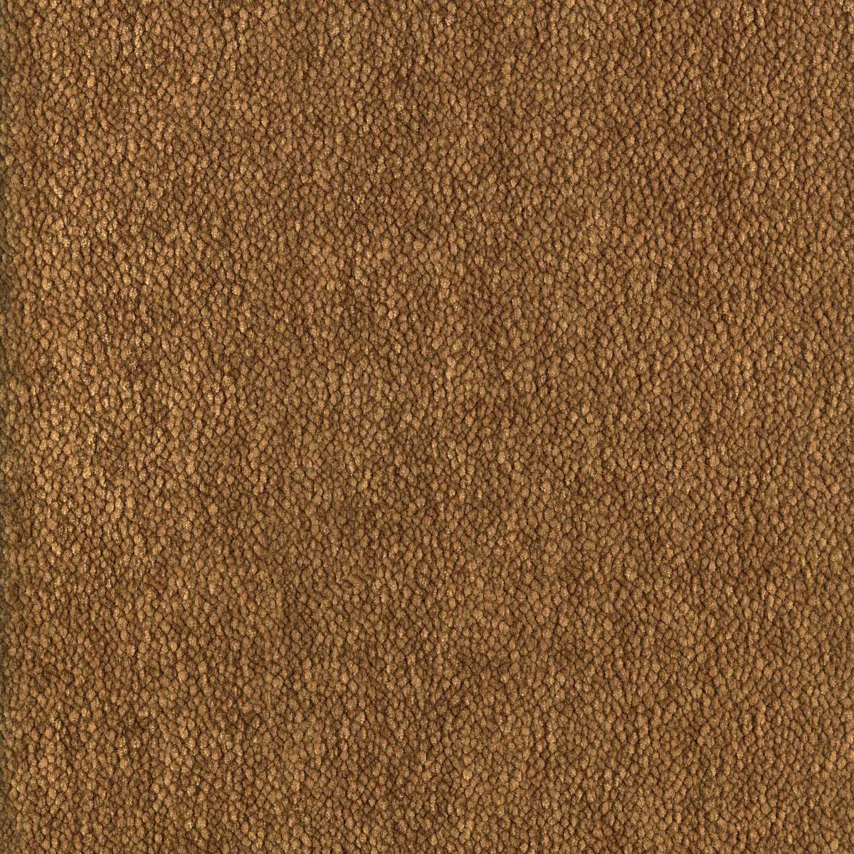 Chroma 92161822