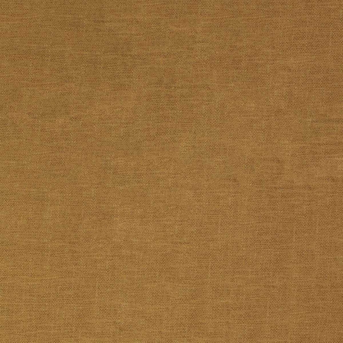 Cosmo 90002443