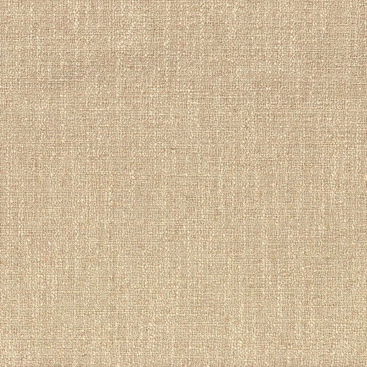 Dune 48622711