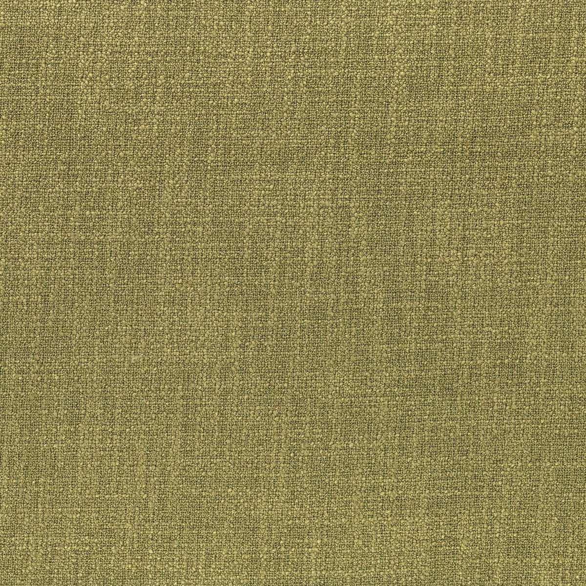 Dune 48623814