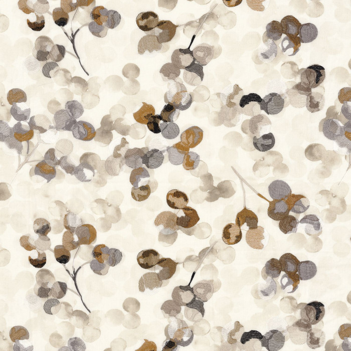 Lunaria 49830124