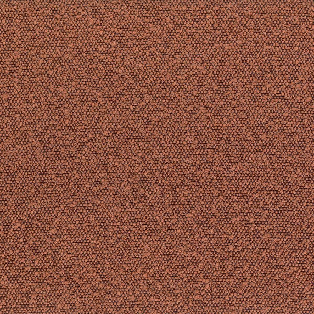Taiga 45943420