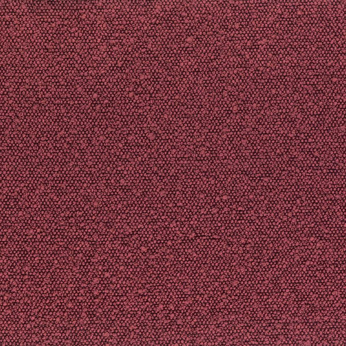Taiga 45943665