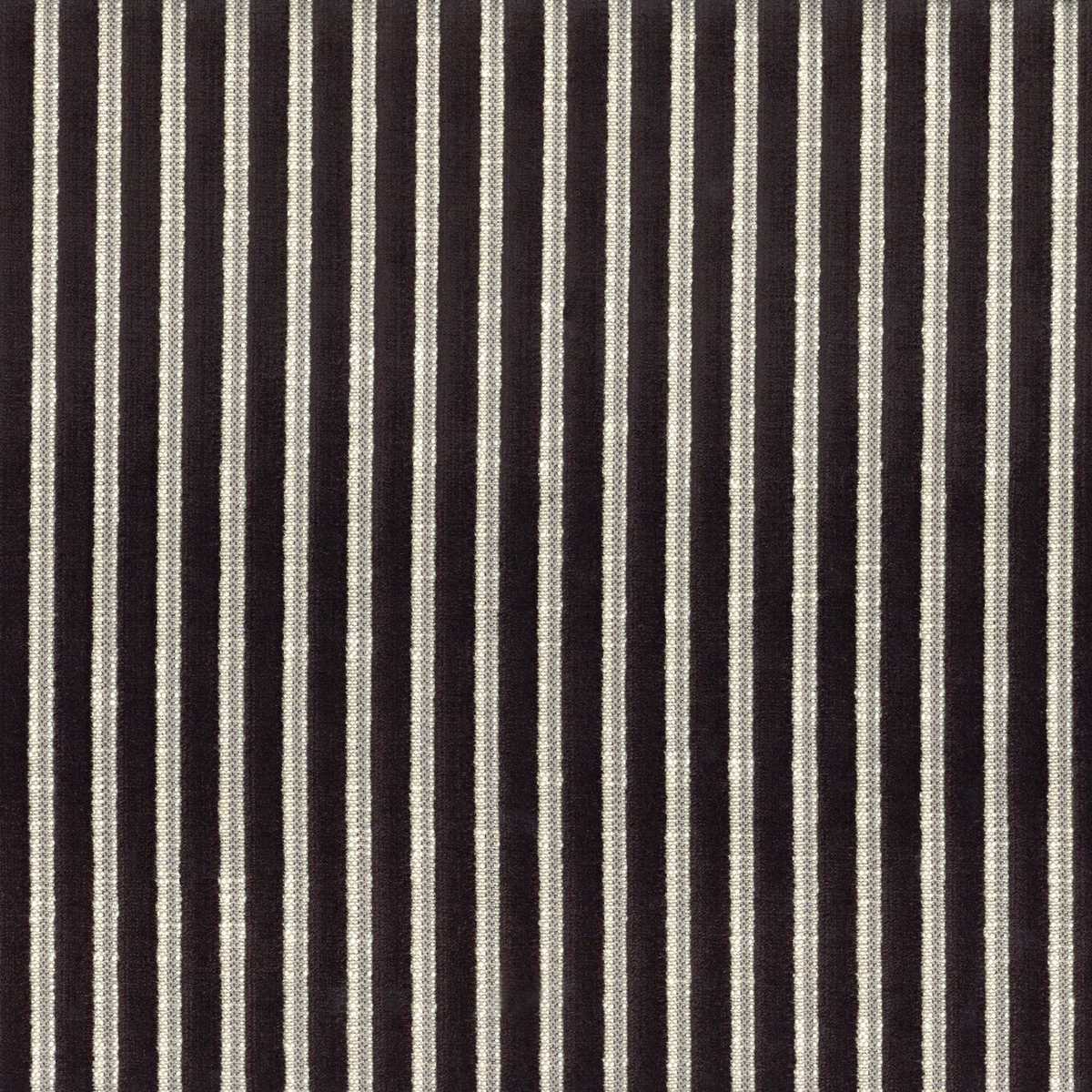 Zebu 11630211