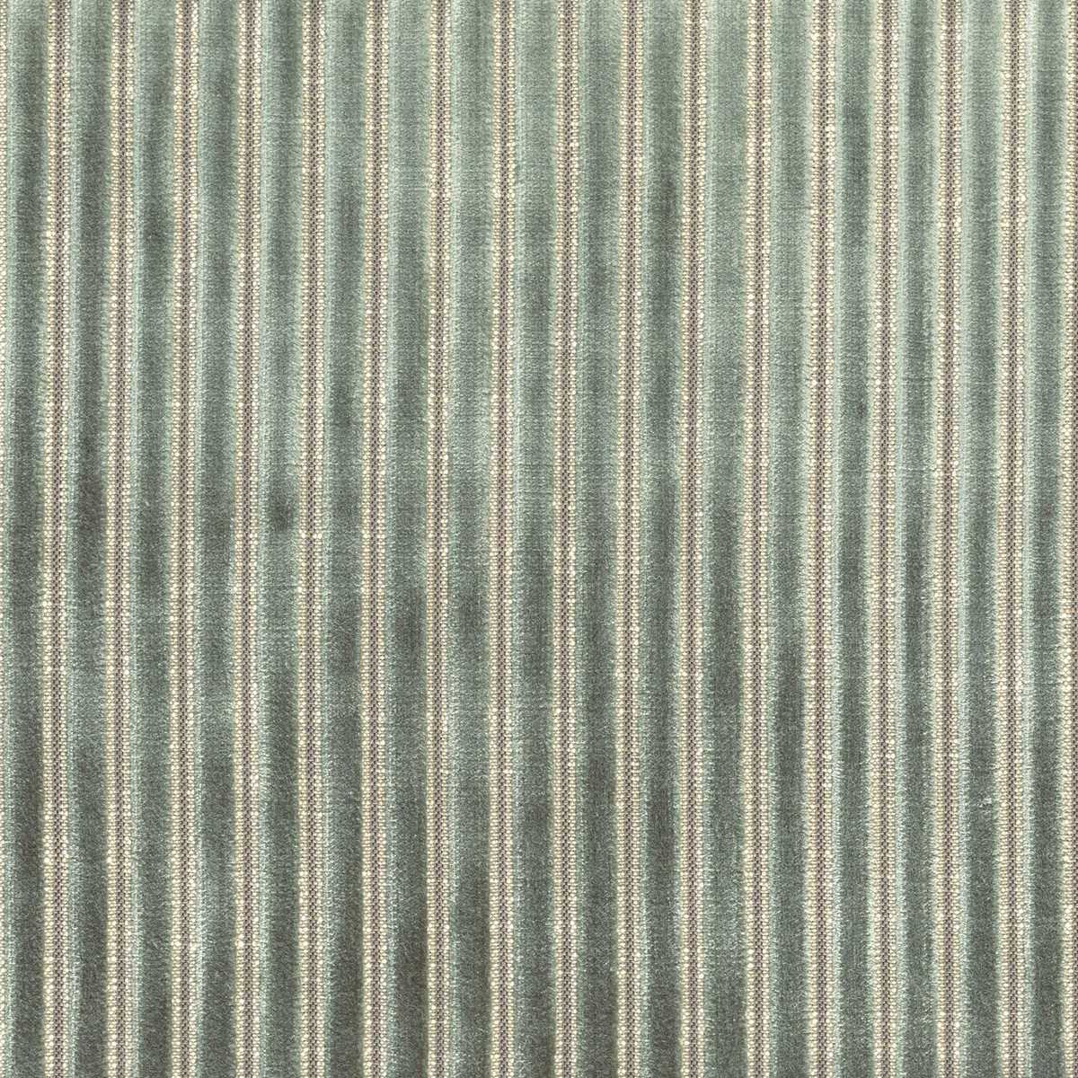 Zebu 11630671