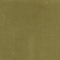 Cascada Moss