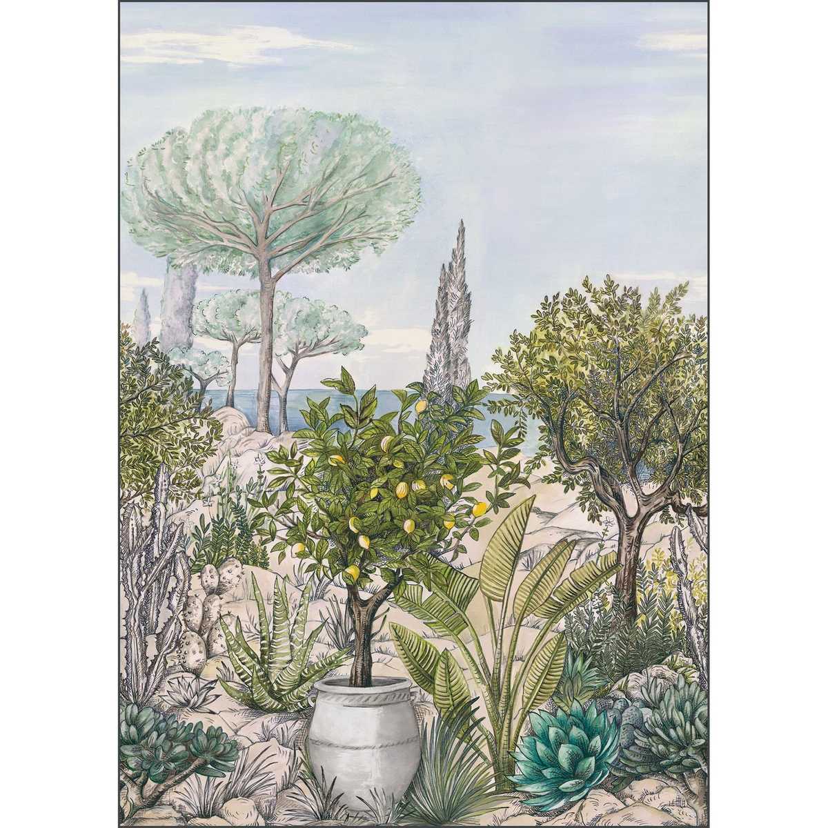 Baux De Provence Cal 105477703