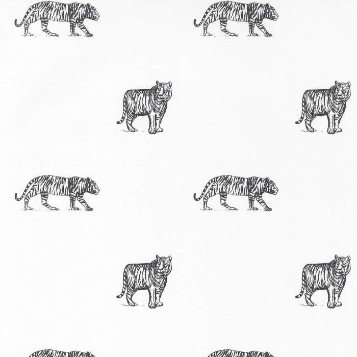 Eye Of The Tiger 101969916