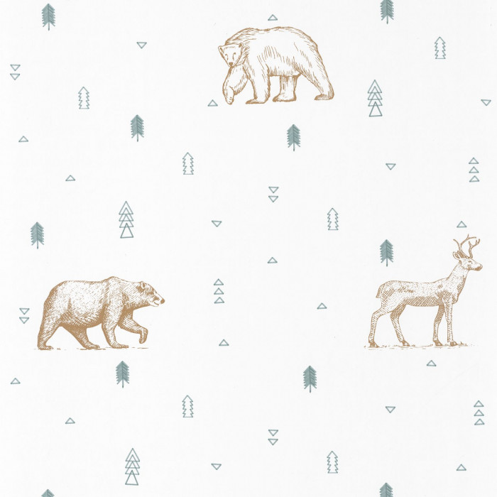 Grizzly Bears 101987112