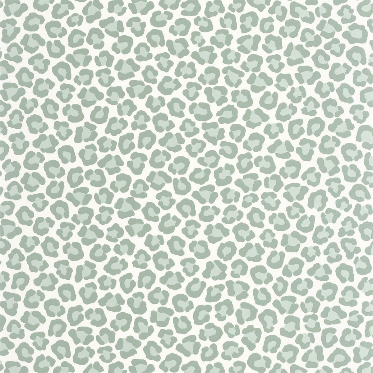 Sumatra 104940711
