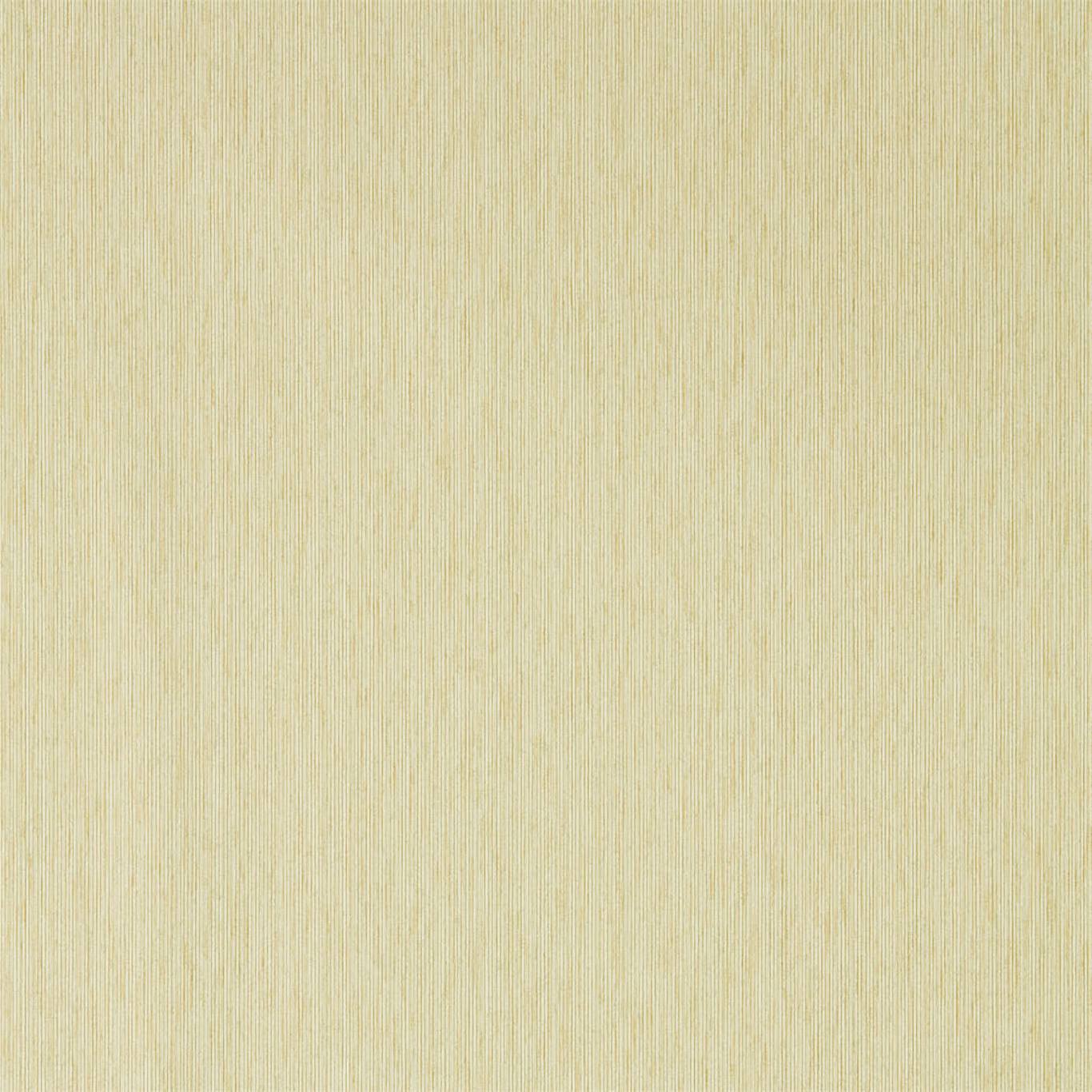 Caspian Strie 216773