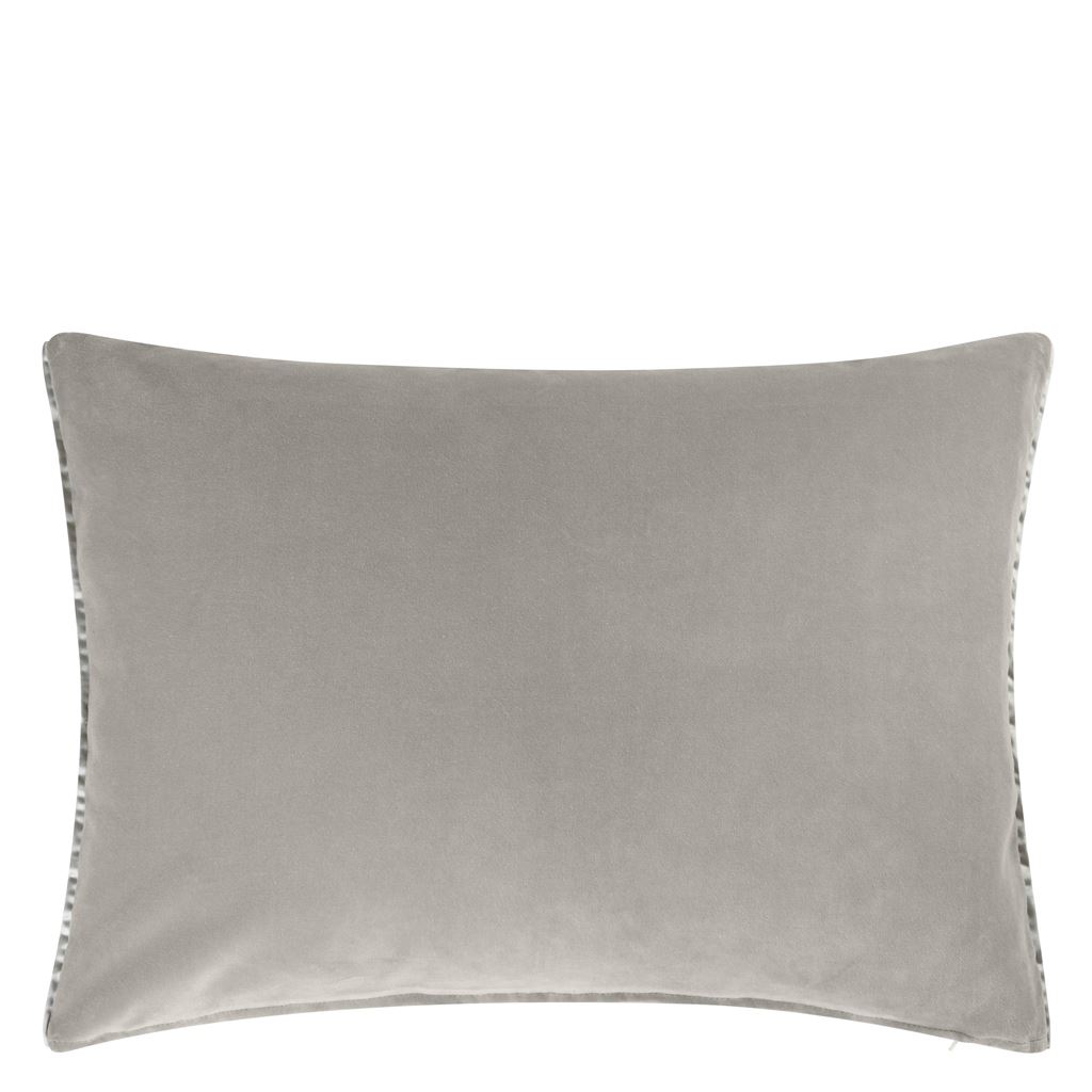 Cassia Dove CCDG0888