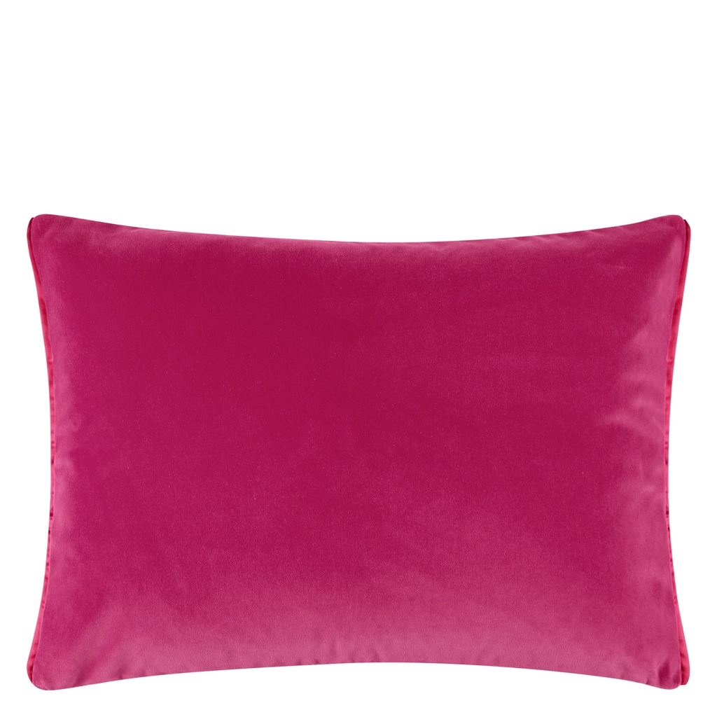 Cassia Fuchsia CCDG0948