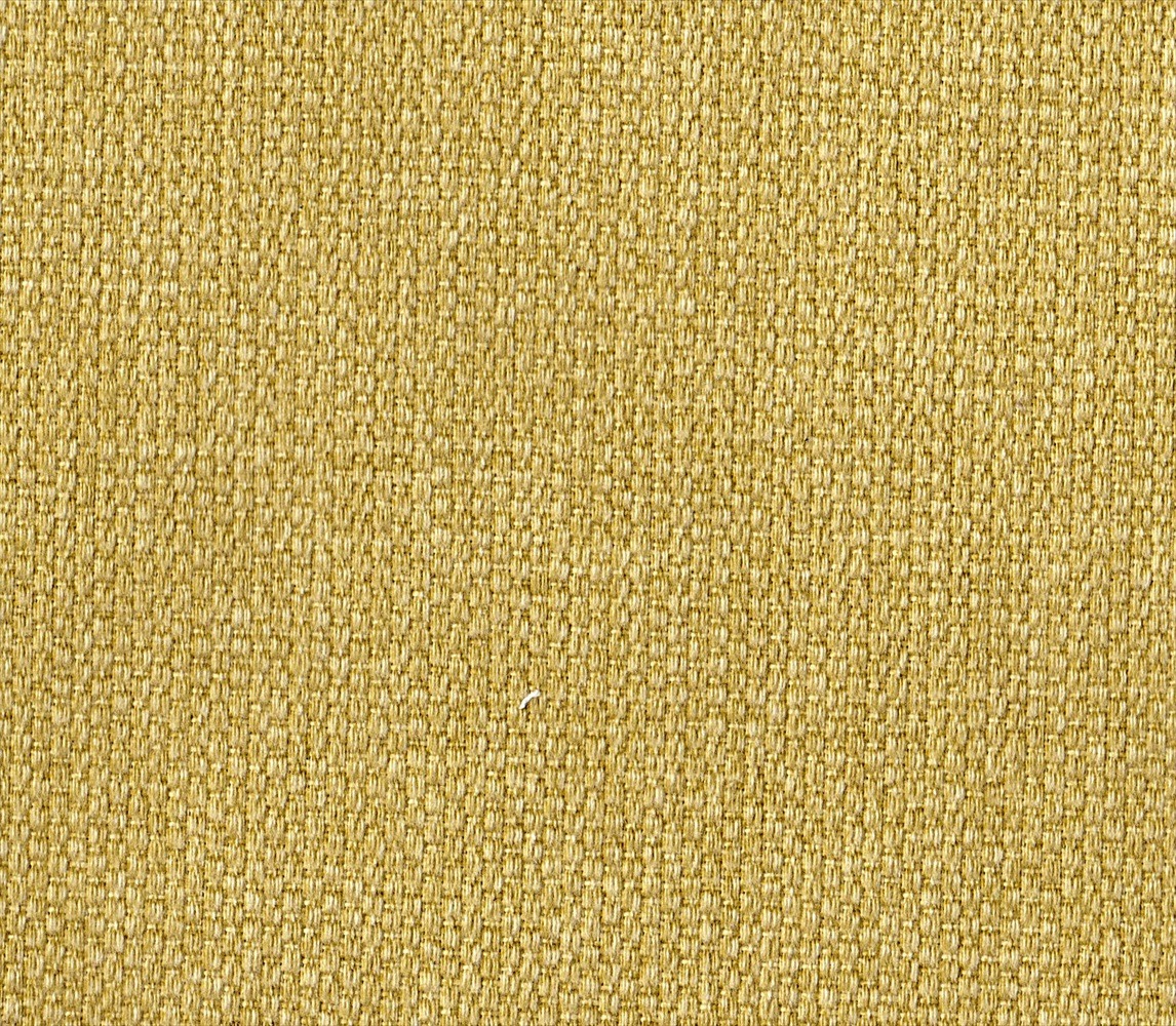 Cassius 1117-2 Buttercup