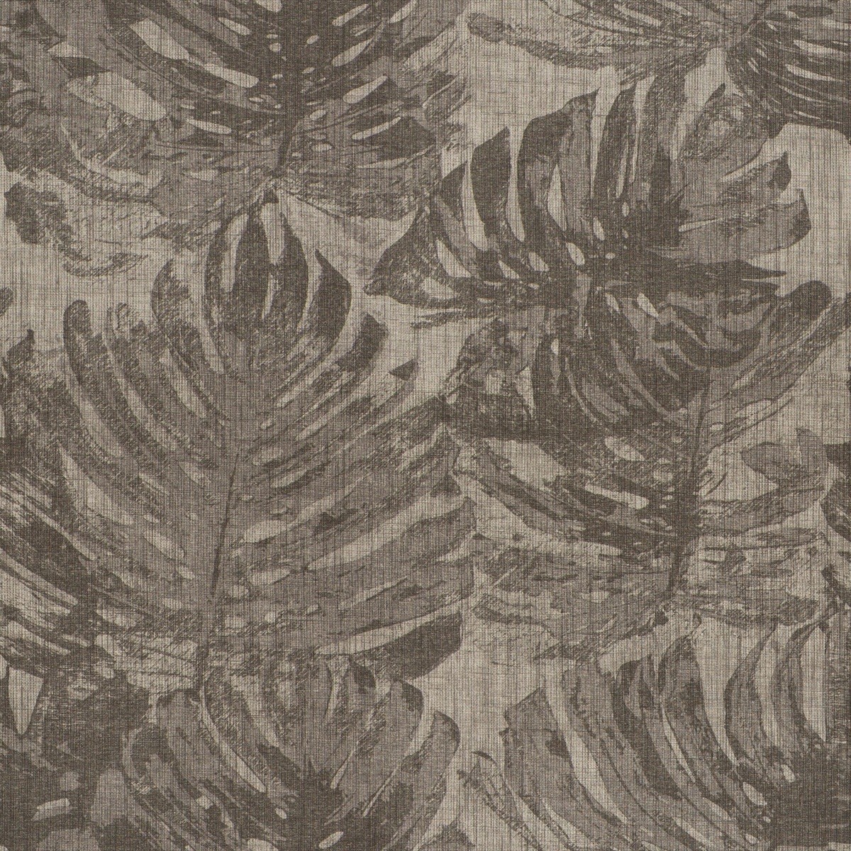Cassolo CA8252-020