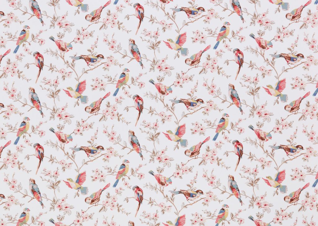 British Birds Pastel