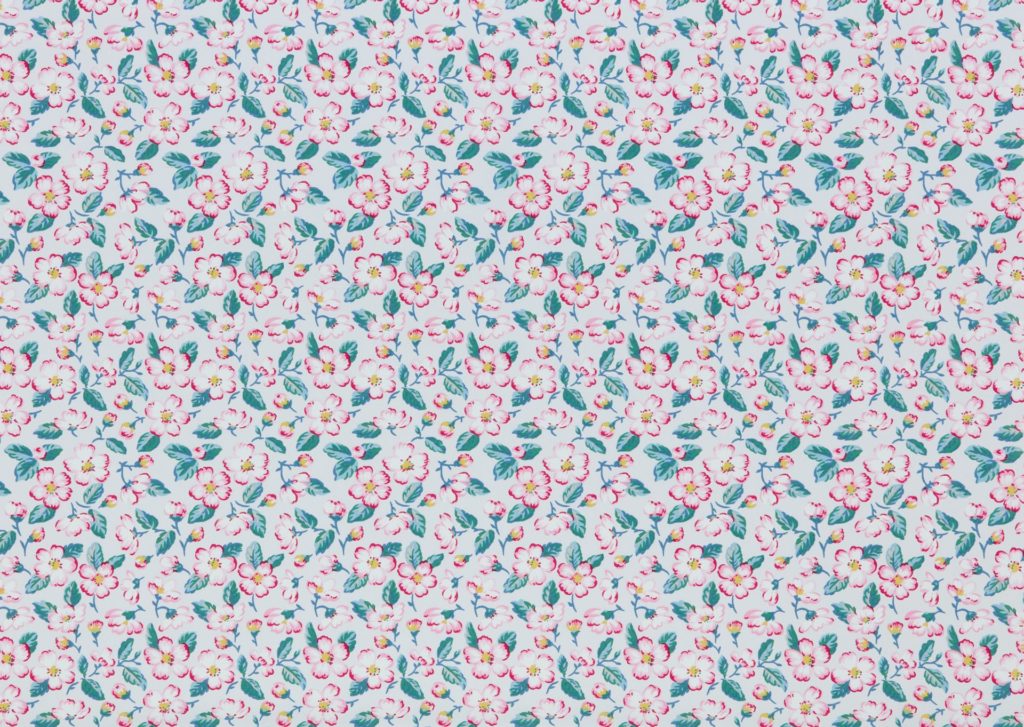 Climbing Blossom Blush