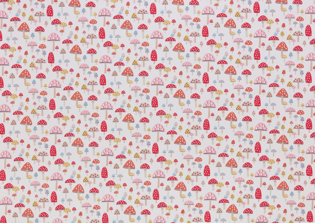 Mini Mushroom Multi