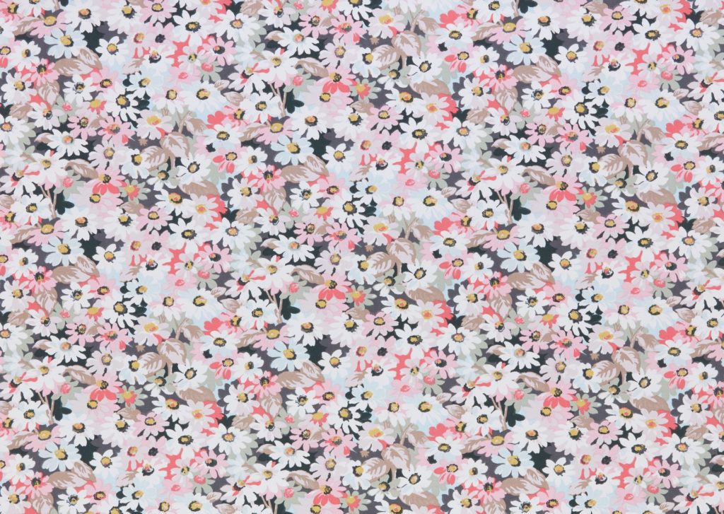 Painted Daisy Multi