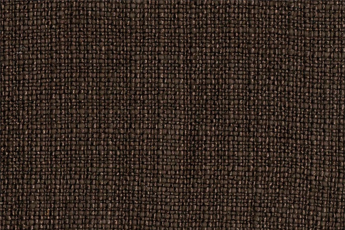 Cavaliere Ebano