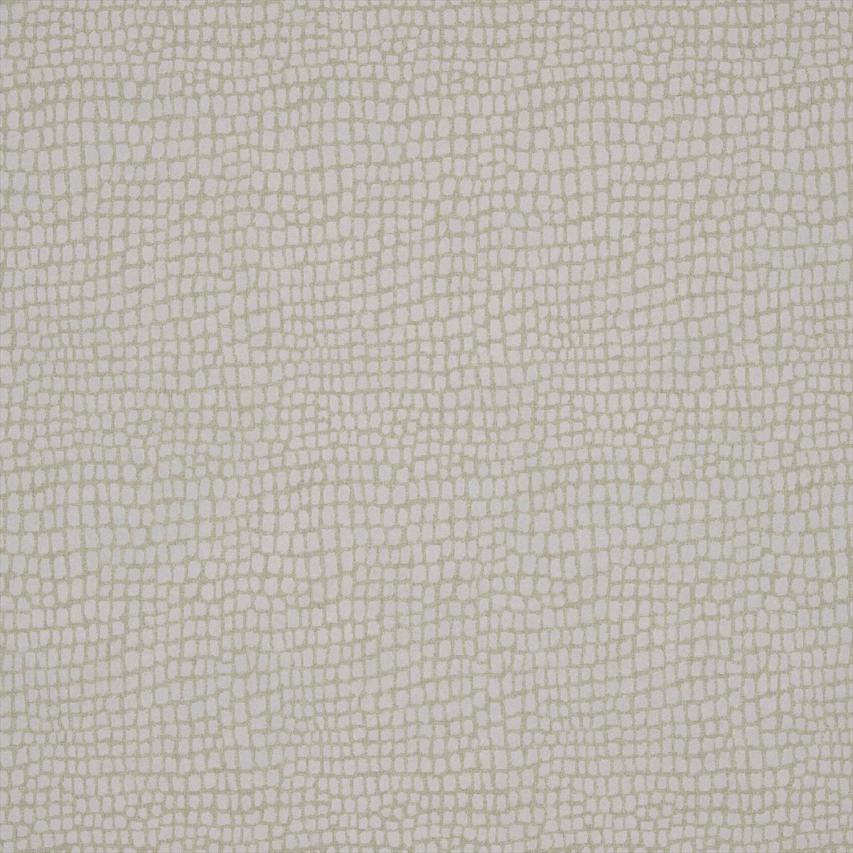 Cazador Ivory