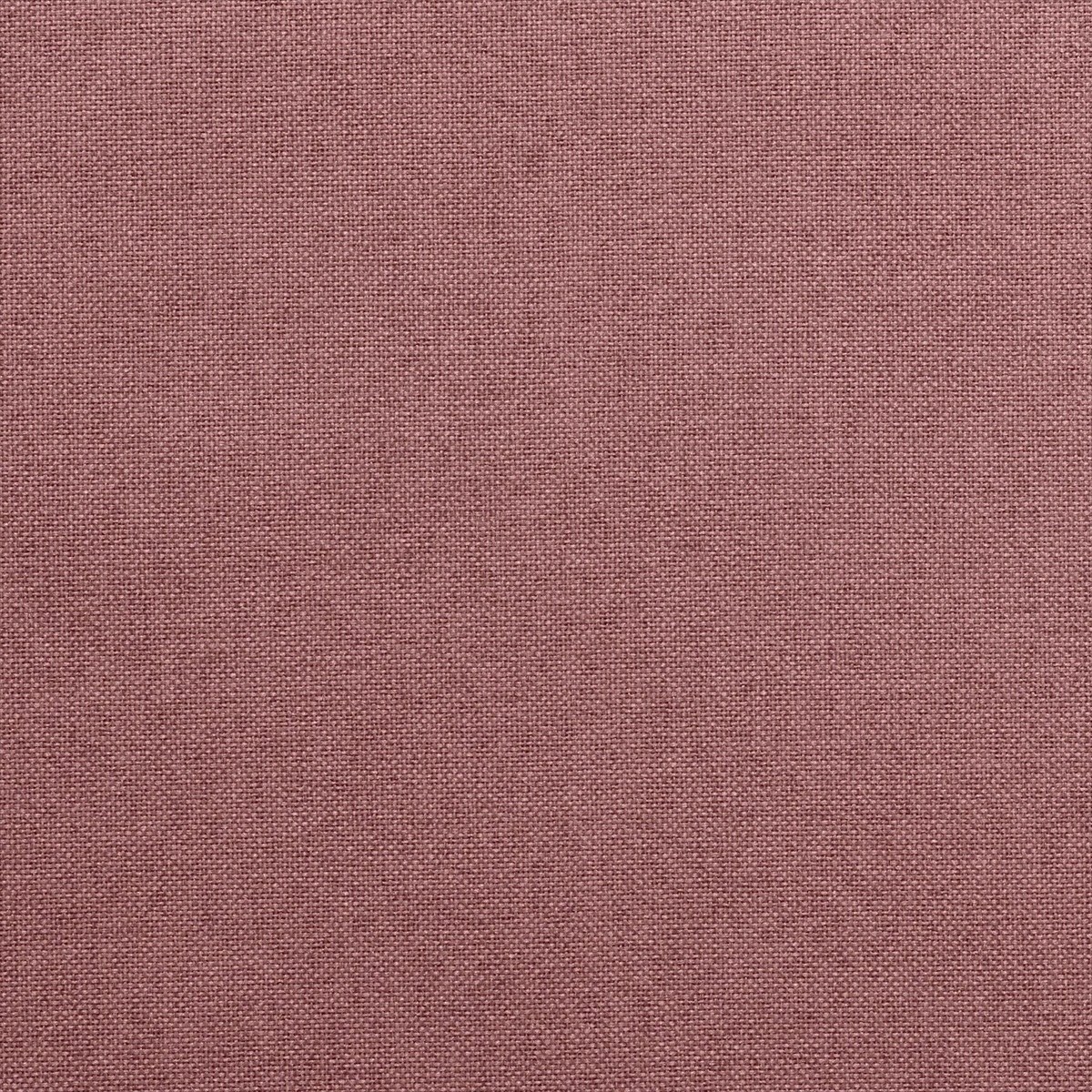 Celeste 72540-9530