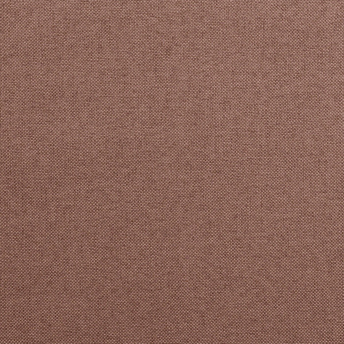 Celeste 72540-9880