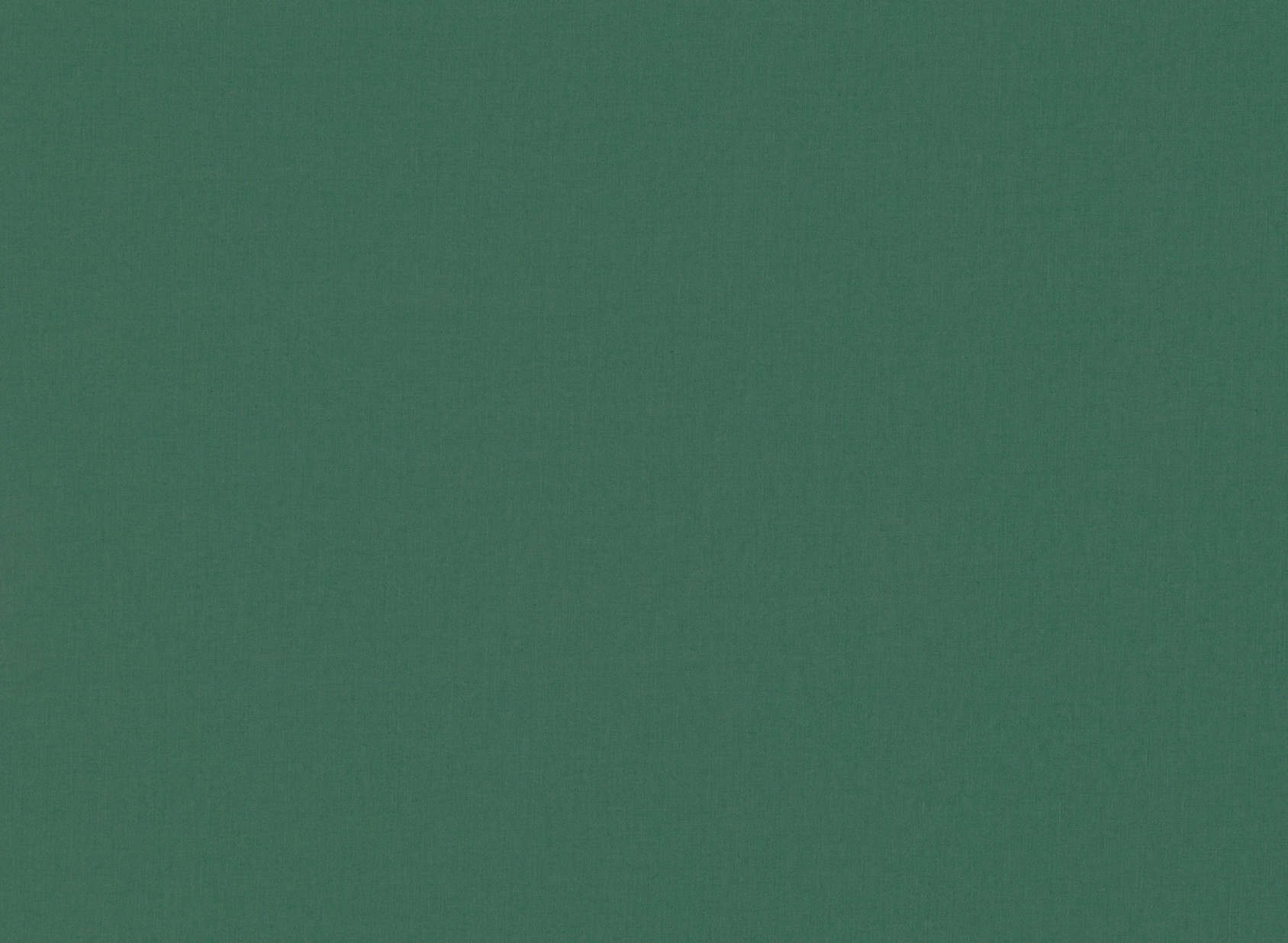 Celino Evergreen 7878-33