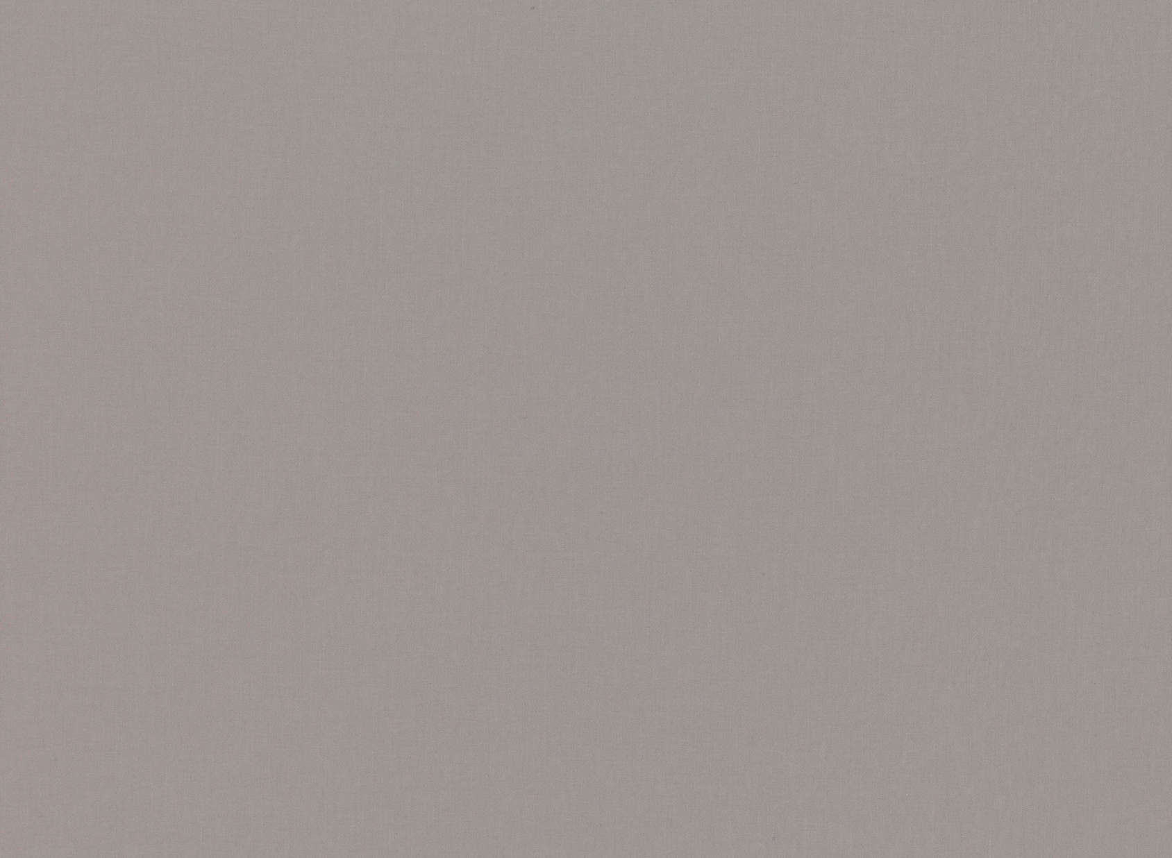 Celino Pewter 7878-47
