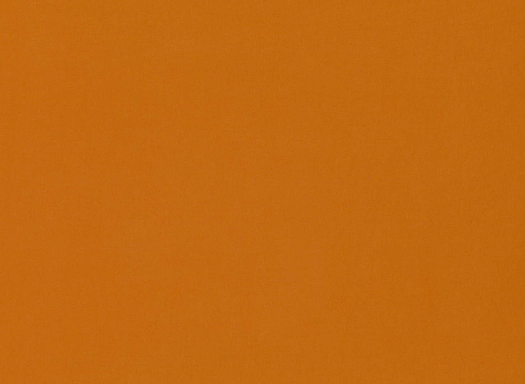 Celino Pumpkin 7878-53