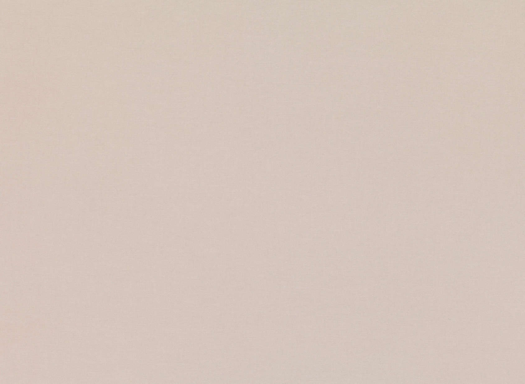Celino Stucco 7878-07
