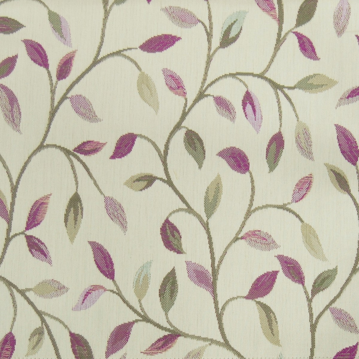 Cervino Mulberry