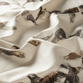 Birdsong CH2718-020