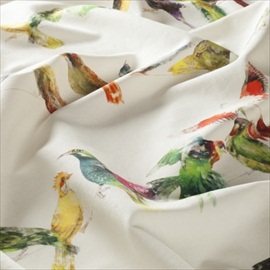 Birdsong CH2718-030