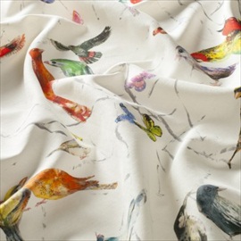 Birds Of Paradise CH2719-030