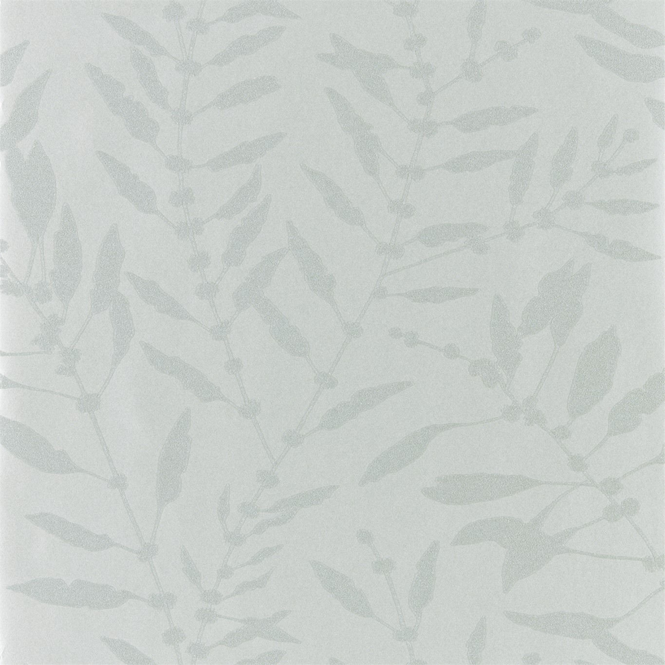 Chaconia Shimmer 111658