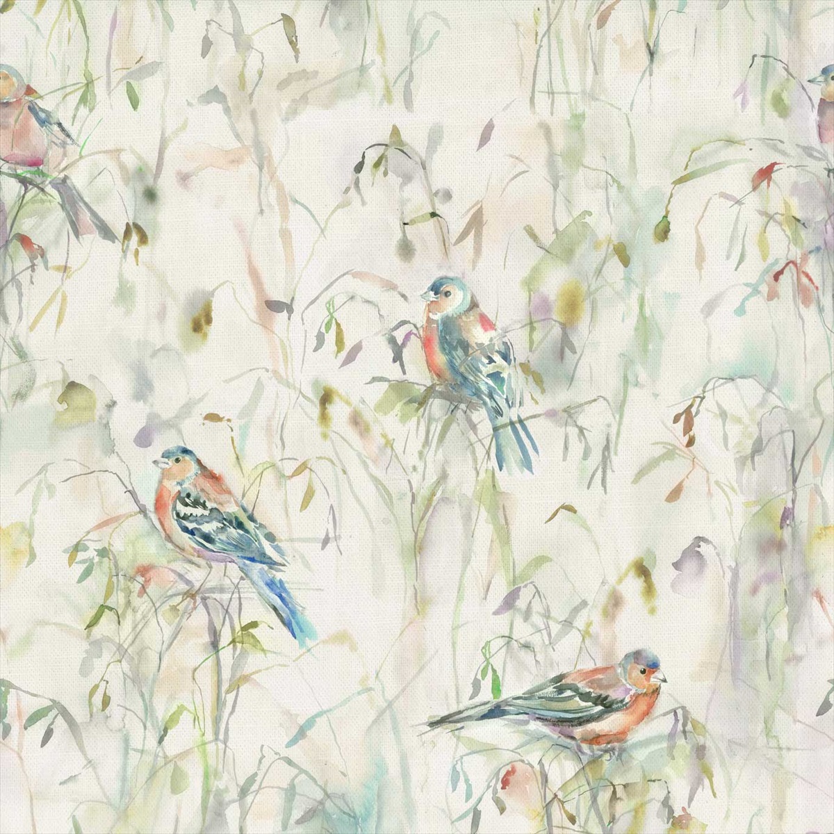 Chaffinch Cream