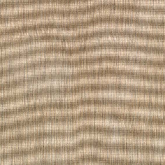 Chainmail Sheer F6627-01