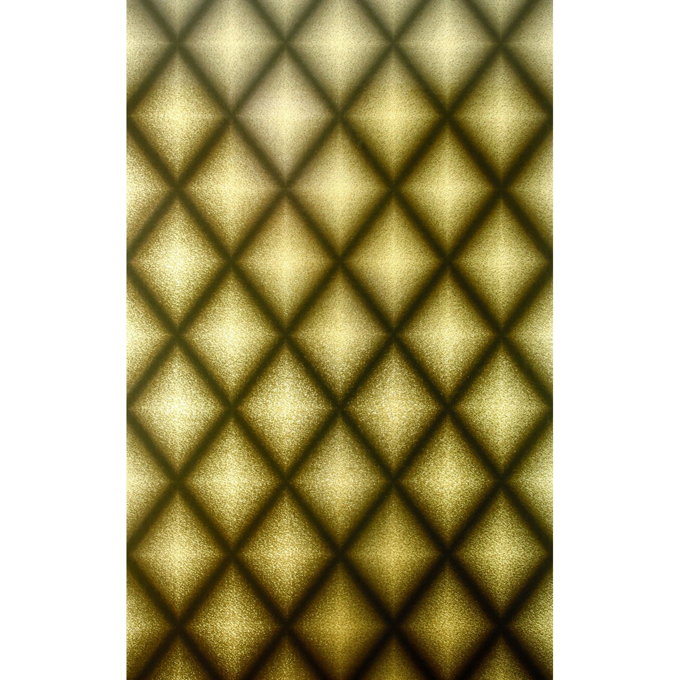 Chameleon W6305-05