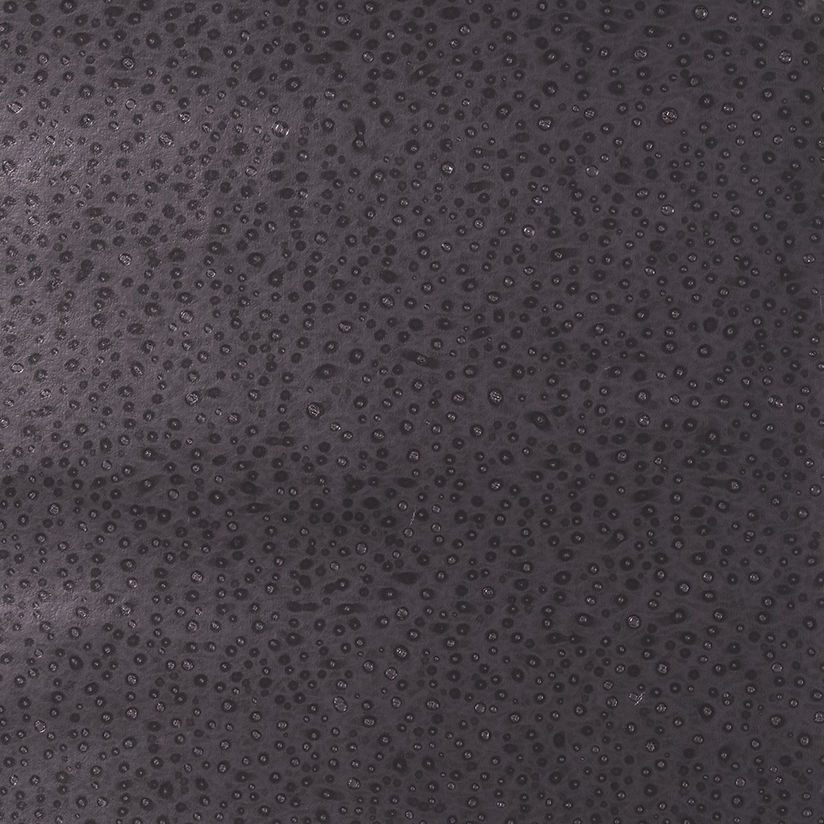 Champagne Wishes Plum Indulgence 6886