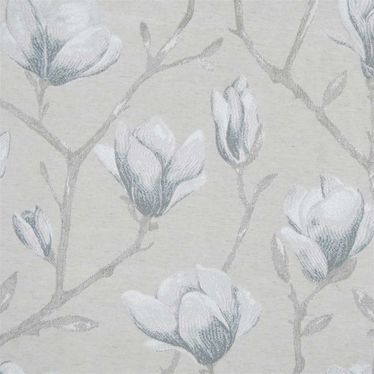 Chatsworth Dove