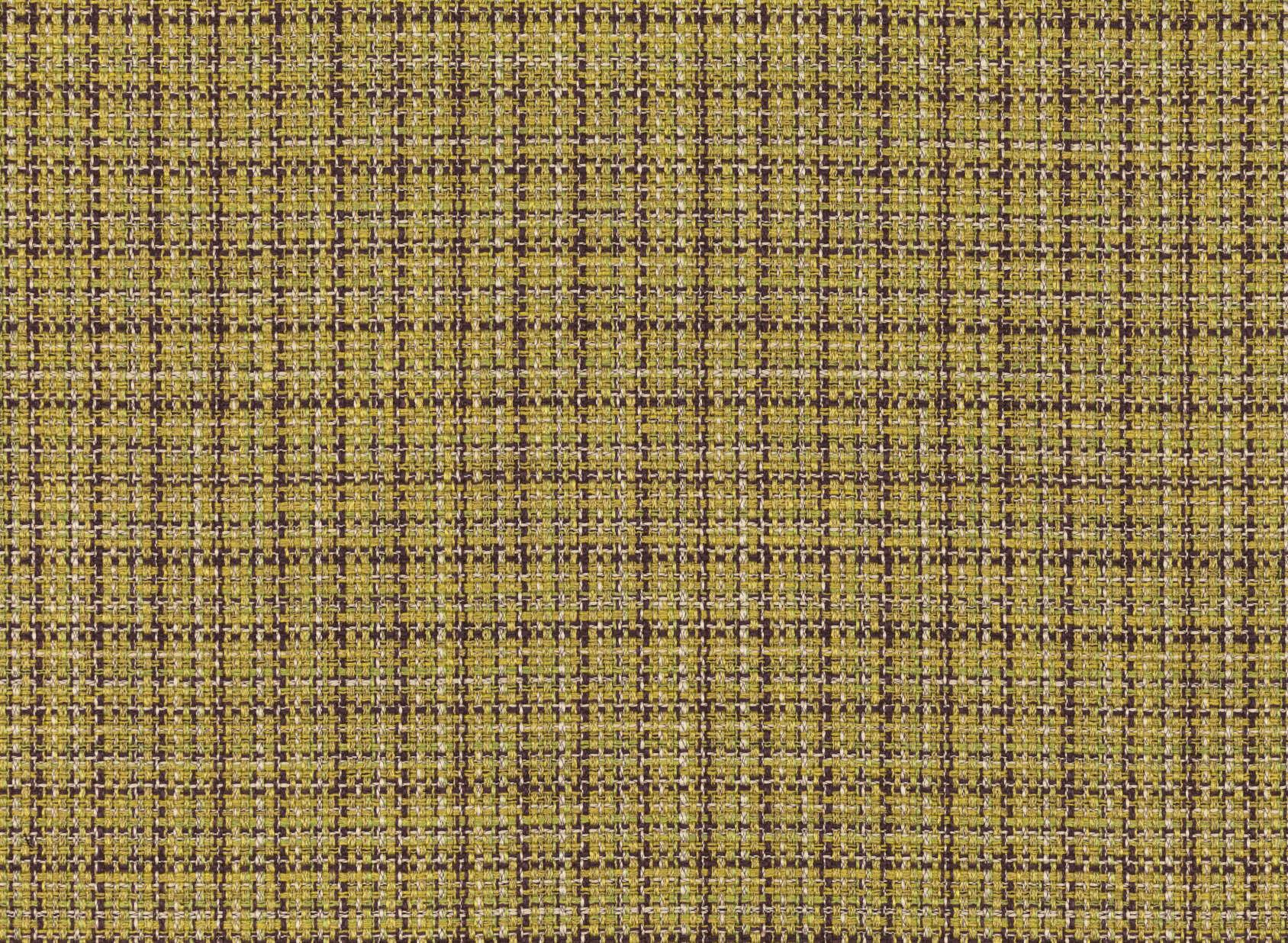 Check Fern K5246-01