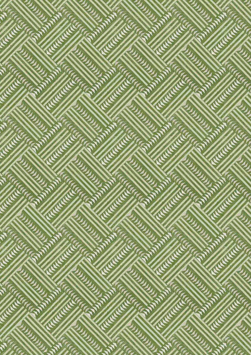 Checkerbox Cactus Fabric