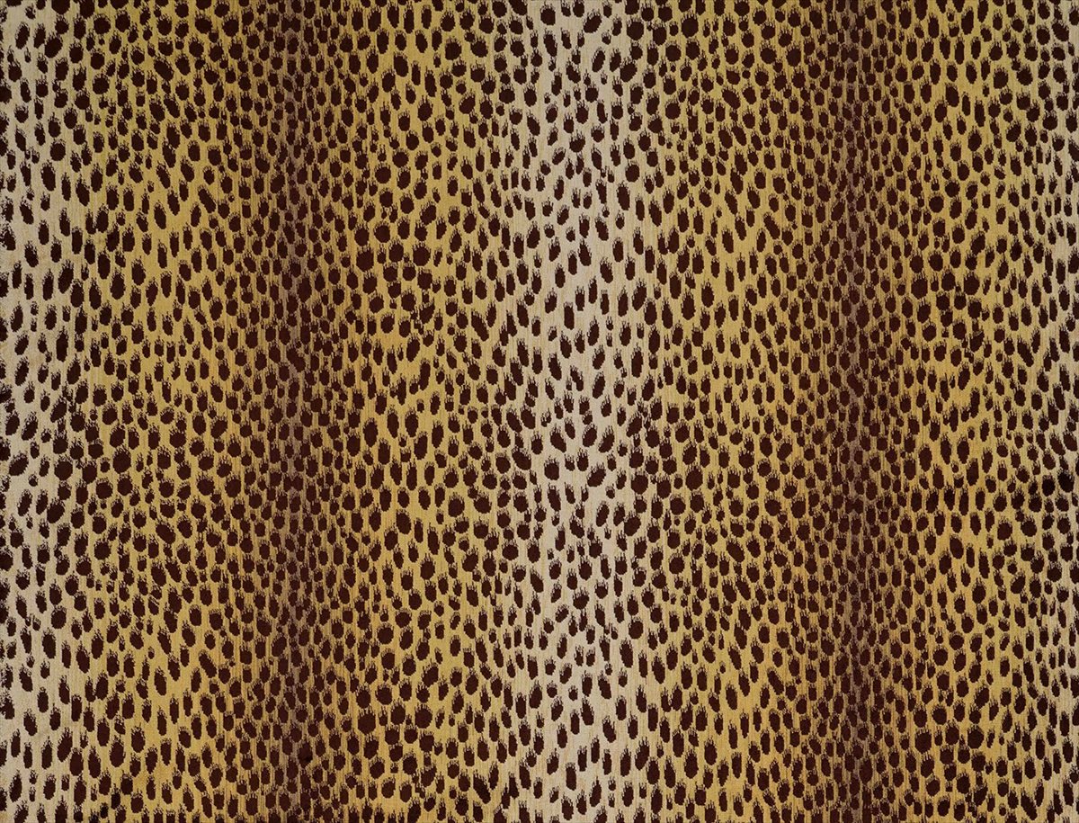 Cheetah JT01 3761 002