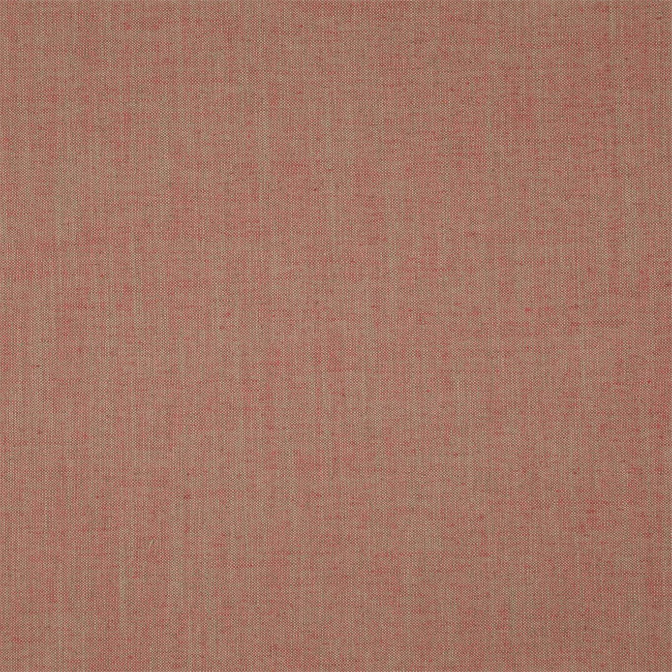 Chenies Coral 235637