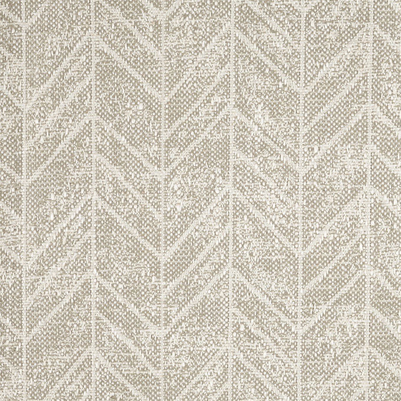 Chervil 236434