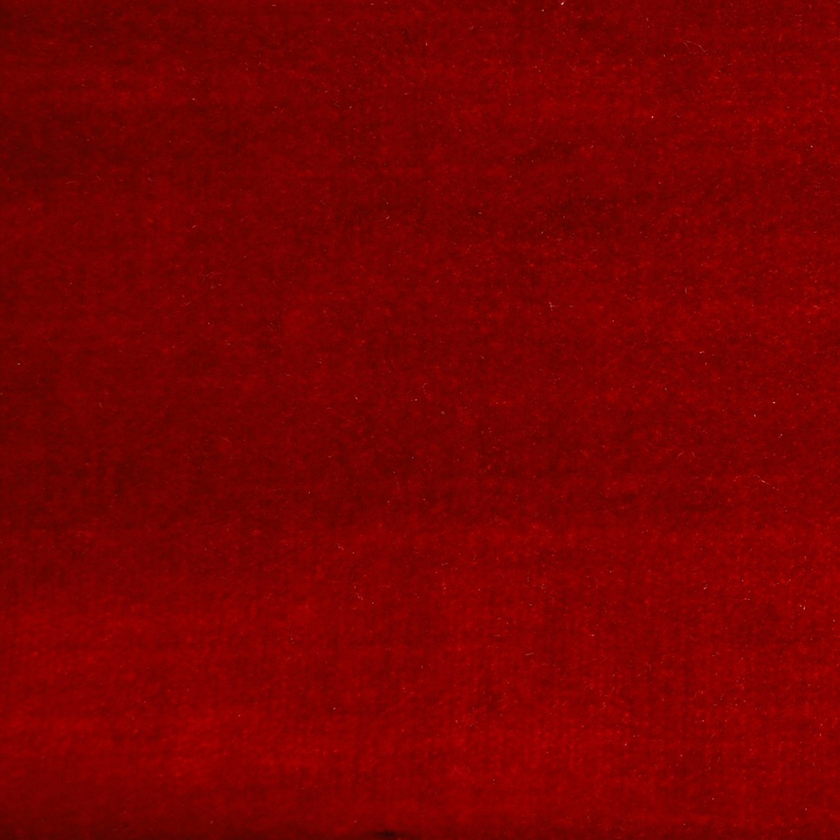 Chiaso Scarlet