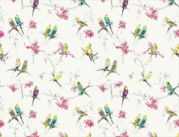 Chirpy_001
