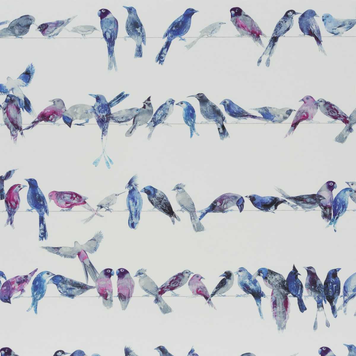 Birdsong Outdoor CH3293-050